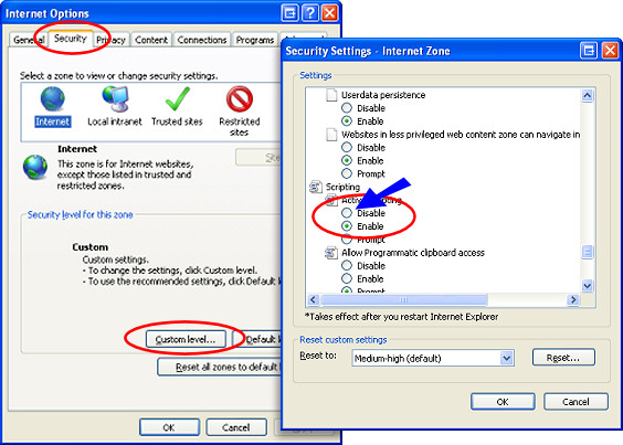 Disable Javascript in Internet Explorer